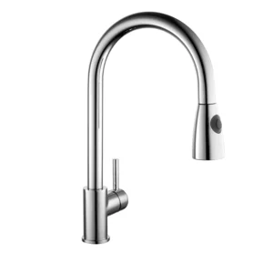 Pull Out Kitchen Tap