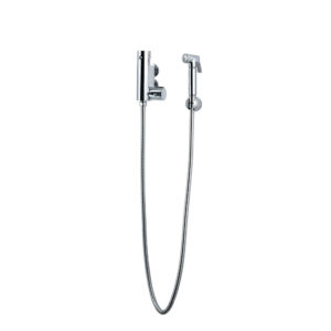Douche Kit with Therm. Mixing Valve and Brass Spray Head